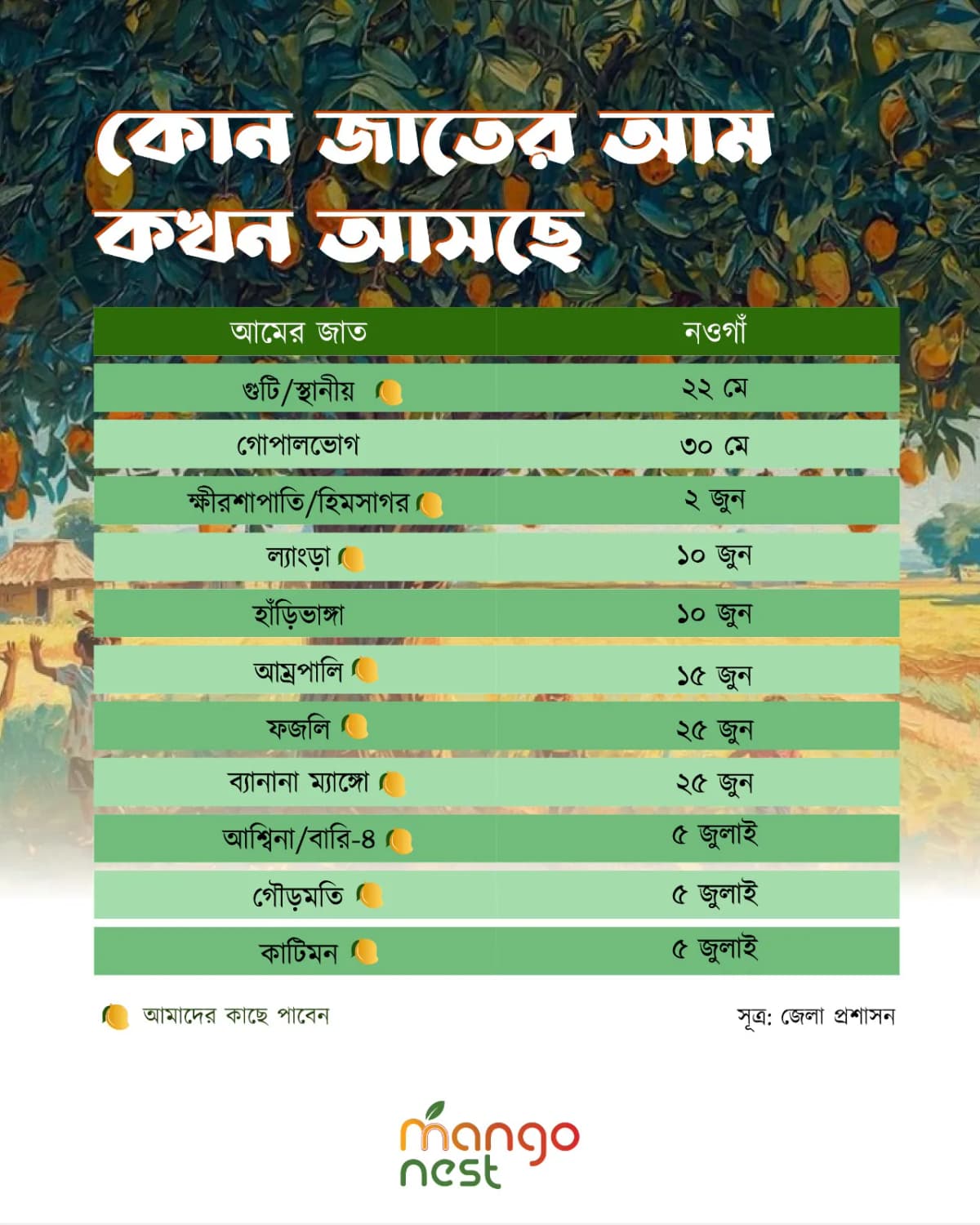 কোন জাতের আম কখন আসছে, Mango Nest ক্যালেন্ডার